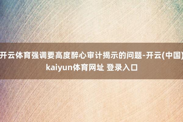 开云体育强调要高度醉心审计揭示的问题-开云(中国)kaiyun体育网址 登录入口