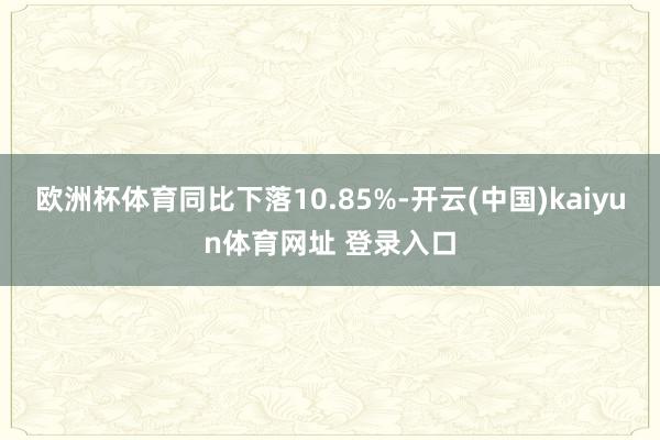 欧洲杯体育同比下落10.85%-开云(中国)kaiyun体育网址 登录入口