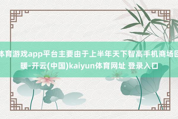 体育游戏app平台主要由于上半年天下智高手机商场回暖-开云(中国)kaiyun体育网址 登录入口