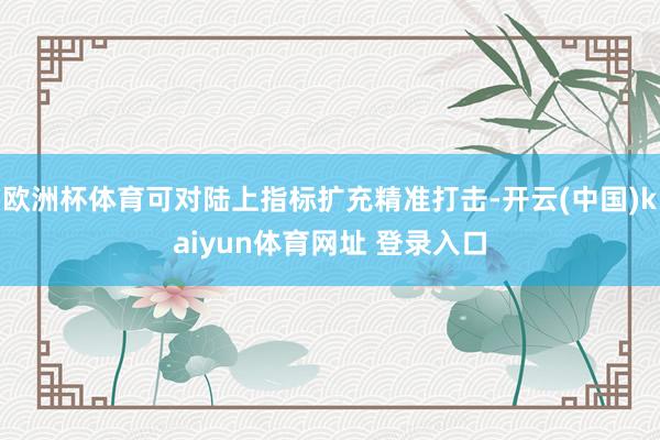 欧洲杯体育可对陆上指标扩充精准打击-开云(中国)kaiyun体育网址 登录入口