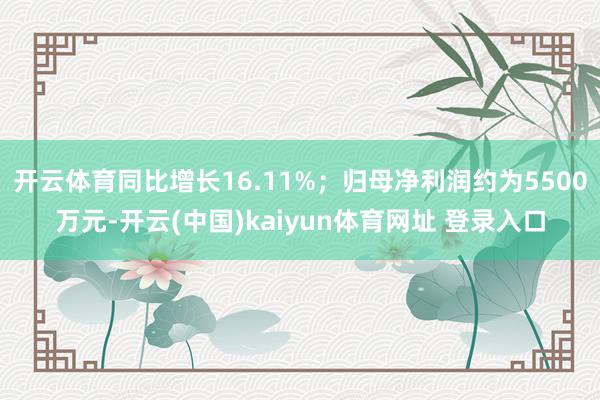 开云体育同比增长16.11%；归母净利润约为5500万元-开云(中国)kaiyun体育网址 登录入口