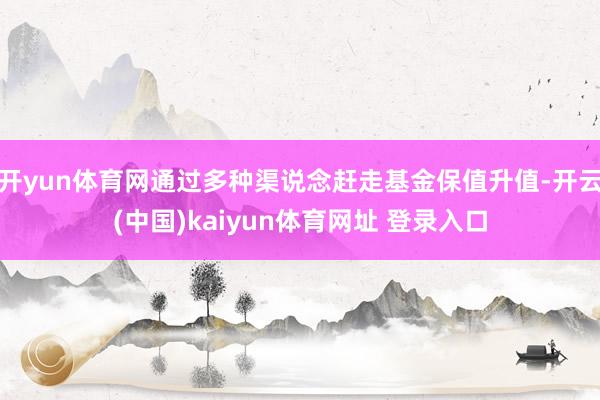 开yun体育网通过多种渠说念赶走基金保值升值-开云(中国)kaiyun体育网址 登录入口