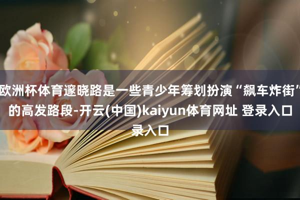 欧洲杯体育邃晓路是一些青少年筹划扮演“飙车炸街”的高发路段-开云(中国)kaiyun体育网址 登录入口