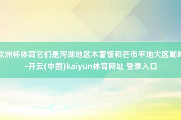 欧洲杯体育它们是泻湖地区木薯饭和芒市平地大区咖啡-开云(中国)kaiyun体育网址 登录入口