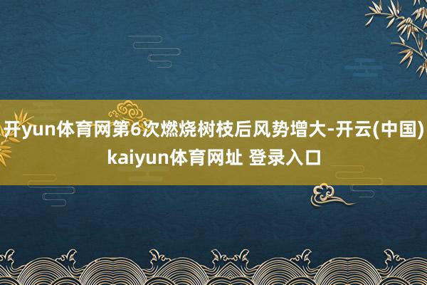 开yun体育网第6次燃烧树枝后风势增大-开云(中国)kaiyun体育网址 登录入口