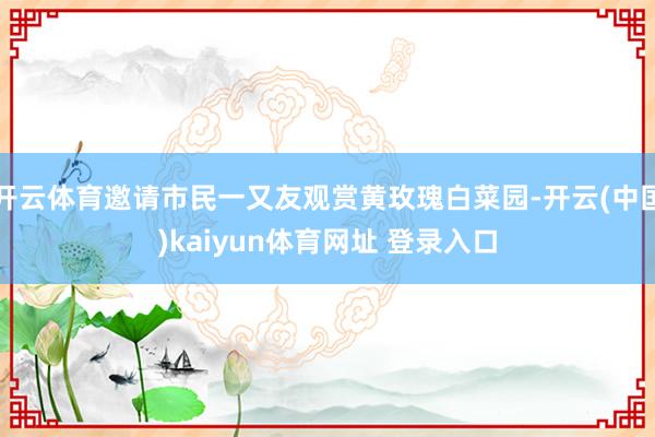 开云体育邀请市民一又友观赏黄玫瑰白菜园-开云(中国)kaiyun体育网址 登录入口